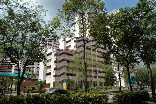 Blk 513 Jelapang Road (Bukit Panjang), HDB Executive #217772